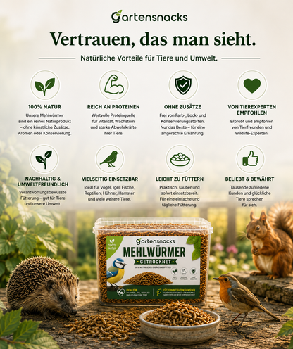 Getrocknete Mehlwürmer