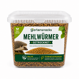 Igelfutter getrocknete Mehlwürmer
