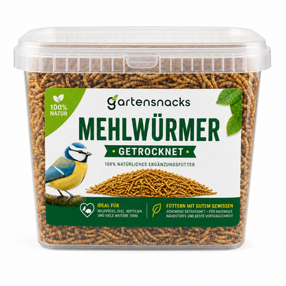 Getrocknete Mehlwürmer