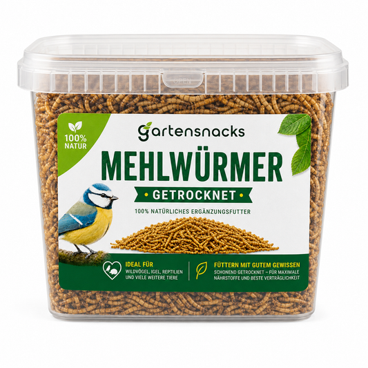 Getrocknete Mehlwürmer