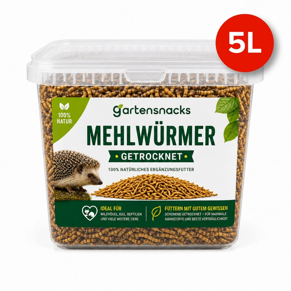 Getrocknete Mehlwürmer im 5-Liter-Vorratsbehälter – 100 % natürliches Ergänzungsfutter für Wildvögel, Igel, Reptilien, Schildkröten und viele weitere Tiere. Reich an Proteinen und Nährstoffen.