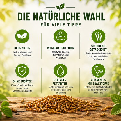 Getrocknete Mehlwürmer als natürliches Ergänzungsfutter – reich an Proteinen, Vitaminen und Mineralstoffen, schonend getrocknet und ohne künstliche Zusätze für viele Tierarten.